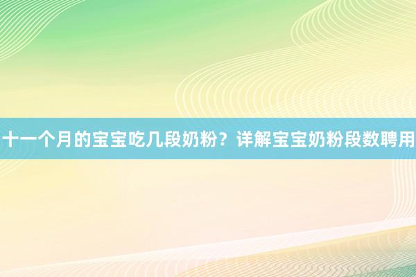 十一个月的宝宝吃几段奶粉？详解宝宝奶粉段数聘用